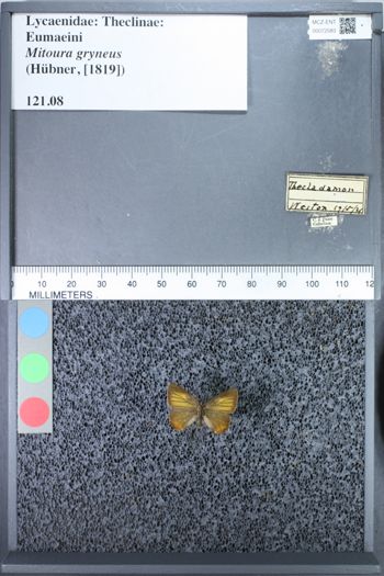 Media type: image;   Entomology 72583